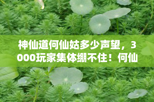 神仙道何仙姑多少声望，3000玩家集体绷不住！何仙姑技能疑云，这到底是BUG还是官方暗改？