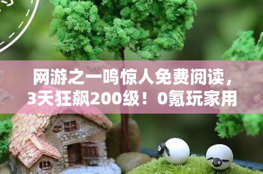 网游之一鸣惊人免费阅读，3天狂飙200级！0氪玩家用这招绝杀土豪，服务器崩溃真相太扎心
