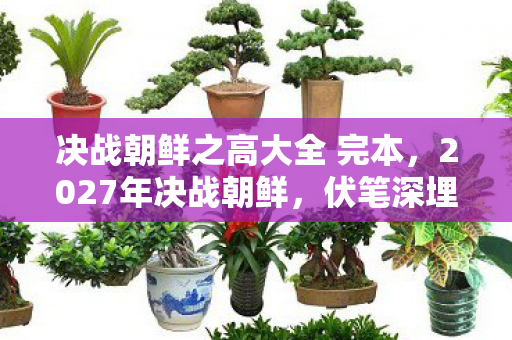 决战朝鲜之高大全 完本，2027年决战朝鲜，伏笔深埋的战场，再见时鼻子一酸
