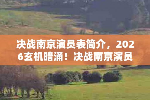 决战南京演员表简介，2026玄机暗涌！决战南京演员表里藏着多少沉默的真相？