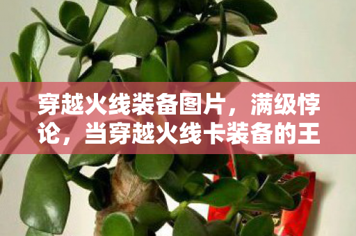 穿越火线装备图片，满级悖论，当穿越火线卡装备的王者，卡在了人生的新手村