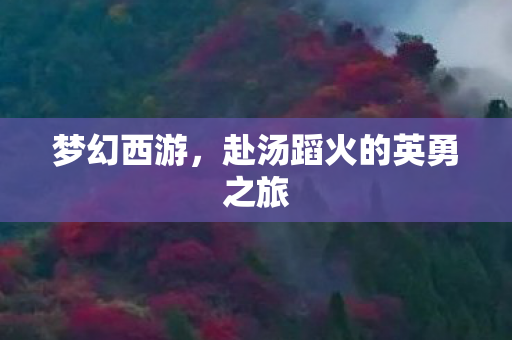 赴汤蹈火的英勇之旅图片