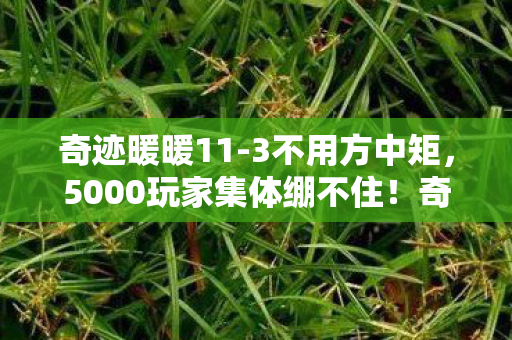 奇迹暖暖11-3不用方中矩,5000玩家集体绷不住!奇迹暖暖11-3关卡疑云,这设计是AI喝假酒了? 奇迹暖暖11-3不用方中矩,5000玩家集体绷不住!奇迹暖暖11-3关卡疑云,这设计是AI喝假酒了?
