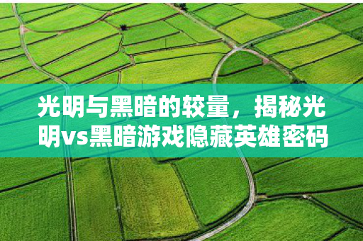 揭秘光明vs黑暗游戏隐藏英雄密码图片