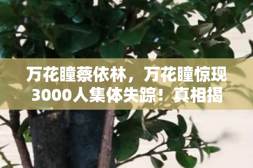 万花瞳蔡依林,万花瞳惊现3000人集体失踪!真相揭晓时全服破防 万花瞳蔡依林,万花瞳惊现3000人集体失踪!真相揭晓时全服破防