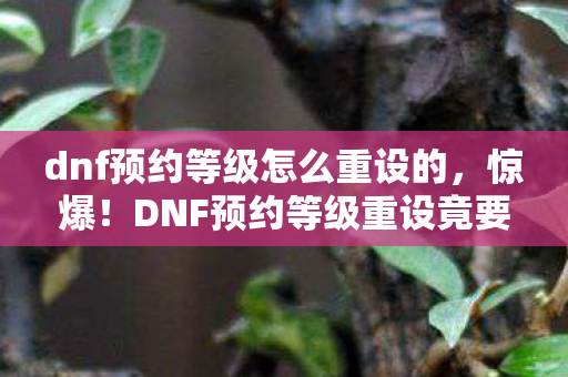 dnf预约等级怎么重设的,惊爆!DNF预约等级重设竟要500块?离职老兵掀桌揭隐情吓一跳! dnf预约等级怎么重设的,惊爆!DNF预约等级重设竟要500块?离职老兵掀桌揭隐情吓一跳!
