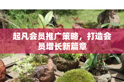 打造会员增长新篇章图片