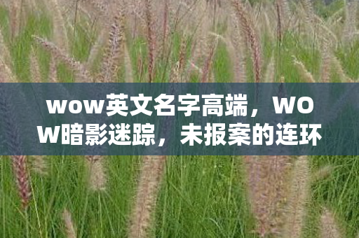 wow英文名字高端,WOW暗影迷踪,未报案的连环悬案,线索交织下的毛骨悚然真相 wow英文名字高端,WOW暗影迷踪,未报案的连环悬案,线索交织下的毛骨悚然真相