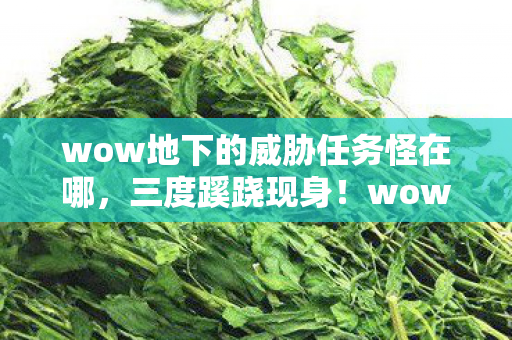 wow地下的威胁任务怪在哪,三度蹊跷现身!wow地下的威胁背后真相让人后背发凉 wow地下的威胁任务怪在哪,三度蹊跷现身!wow地下的威胁背后真相让人后背发凉