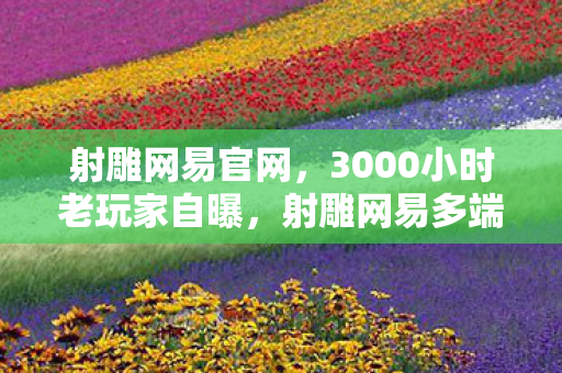 射雕网易官网，3000小时老玩家自曝，射雕网易多端征战，谁懂这背后的心酸？
