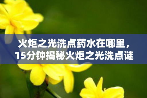 火炬之光洗点药水在哪里,15分钟揭秘火炬之光洗点谜局,那些被数据碾碎的泪目人生 火炬之光洗点药水在哪里,15分钟揭秘火炬之光洗点谜局,那些被数据碾碎的泪目人生
