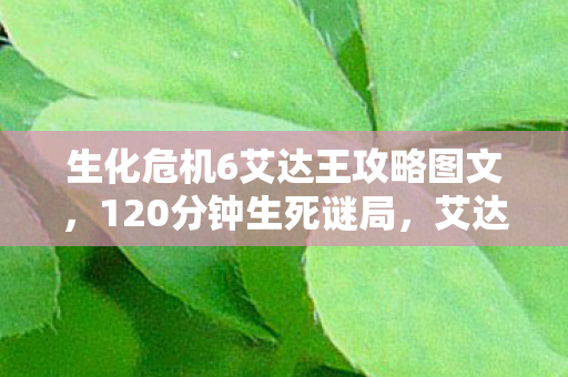 生化危机6艾达王攻略图文,120分钟生死谜局,艾达王验尸报告式攻略,泪目真相藏于代码坟场 生化危机6艾达王攻略图文,120分钟生死谜局,艾达王验尸报告式攻略,泪目真相藏于代码坟场
