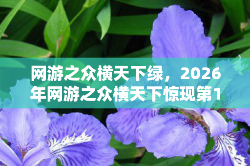 网游之众横天下绿,2026年网游之众横天下惊现第1001区!隐藏职业竟能改写现实? 网游之众横天下绿,2026年网游之众横天下惊现第1001区!隐藏职业竟能改写现实?
