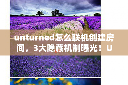 unturned怎么联机创建房间,3大隐藏机制曝光!Unturned联机竟藏着让99%玩家崩溃的真相? unturned怎么联机创建房间,3大隐藏机制曝光!Unturned联机竟藏着让99%玩家崩溃的真相?