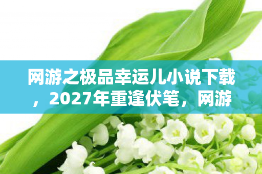 网游之极品幸运儿小说下载，2027年重逢伏笔，网游旧情如刀，鼻子一酸忆往昔