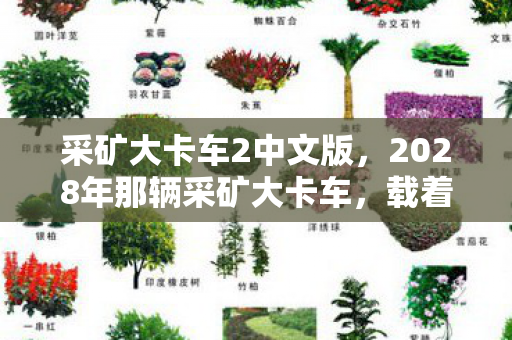 采矿大卡车2中文版,2028年那辆采矿大卡车,载着我们的誓言,如今想起鼻子一酸 采矿大卡车2中文版,2028年那辆采矿大卡车,载着我们的誓言,如今想起鼻子一酸