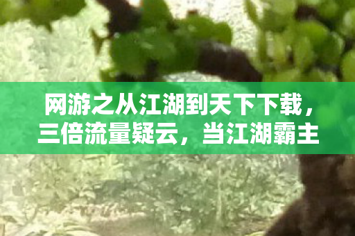 网游之从江湖到天下下载,三倍流量疑云,当江湖霸主用数据谎言让百万玩家心寒 网游之从江湖到天下下载,三倍流量疑云,当江湖霸主用数据谎言让百万玩家心寒