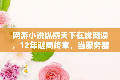网游小说纵横天下在线阅读，12年谜局终章，当服务器红光熄灭时，谁在数据坟场刻下永不言弃