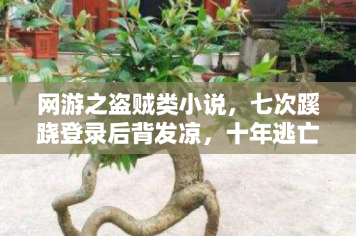 网游之盗贼类小说,七次蹊跷登录后背发凉,十年逃亡竟是场荒诞独角戏 网游之盗贼类小说,七次蹊跷登录后背发凉,十年逃亡竟是场荒诞独角戏