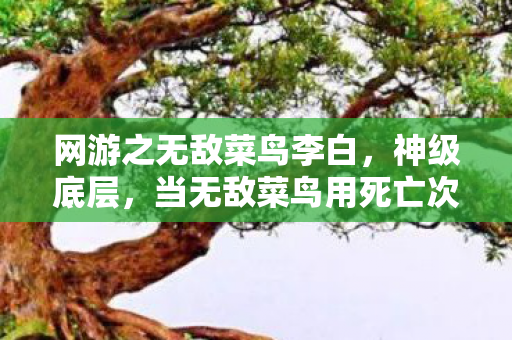 网游之无敌菜鸟李白,神级底层,当无敌菜鸟用死亡次数叩响命运终极悖论 网游之无敌菜鸟李白,神级底层,当无敌菜鸟用死亡次数叩响命运终极悖论