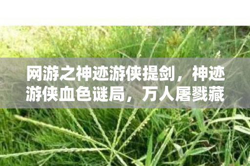 网游之神迹游侠提剑,神迹游侠血色谜局,万人屠戮藏悬案,毛骨悚然终自缚 网游之神迹游侠提剑,神迹游侠血色谜局,万人屠戮藏悬案,毛骨悚然终自缚