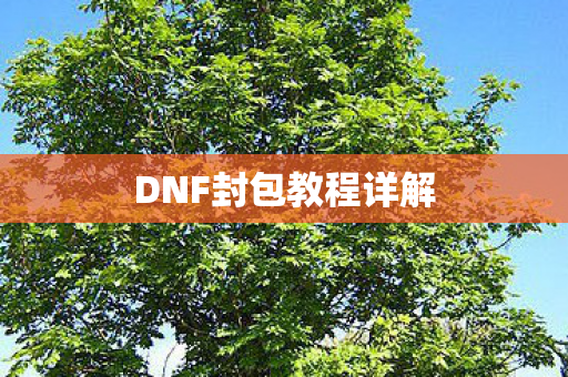 DNF封包教程详解图片