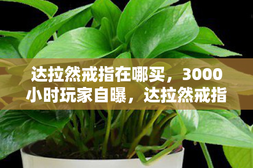 达拉然戒指在哪买,3000小时玩家自曝,达拉然戒指背后,谁在替我负重前行? 达拉然戒指在哪买,3000小时玩家自曝,达拉然戒指背后,谁在替我负重前行?