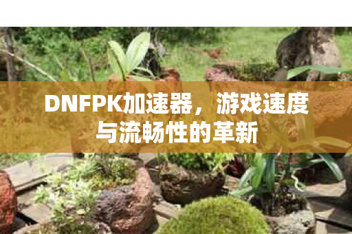 游戏速度与流畅性的革新图片