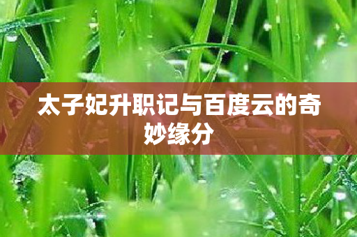 太子妃升职记与百度云的奇妙缘分图片