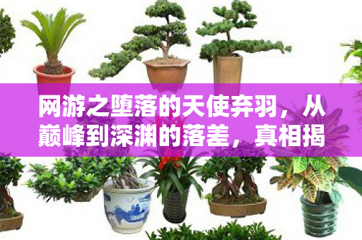 网游之堕落的天使弃羽,从巅峰到深渊的落差,真相揭晓时,笑着笑着就哭了 网游之堕落的天使弃羽,从巅峰到深渊的落差,真相揭晓时,笑着笑着就哭了