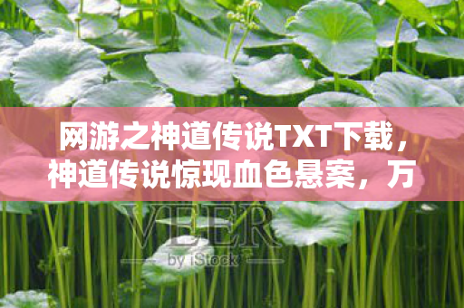 网游之神道传说TXT下载,神道传说惊现血色悬案,万人屠竟成自戕谜团! 网游之神道传说TXT下载,神道传说惊现血色悬案,万人屠竟成自戕谜团!