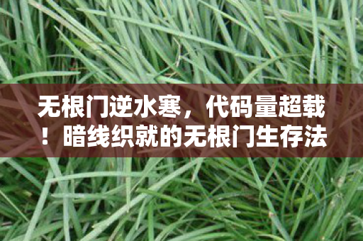 无根门逆水寒,代码量超载!暗线织就的无根门生存法则,头皮发麻的数字人生 无根门逆水寒,代码量超载!暗线织就的无根门生存法则,头皮发麻的数字人生