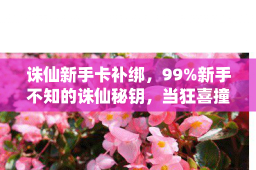 诛仙新手卡补绑,99%新手不知的诛仙秘钥,当狂喜撞碎996的墙,谁在暗处数着你的疲惫? 诛仙新手卡补绑,99%新手不知的诛仙秘钥,当狂喜撞碎996的墙,谁在暗处数着你的疲惫?
