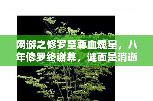 网游之修罗至尊血魂星,八年修罗终谢幕,谜面是消逝,泪目是无人知晓的告别 网游之修罗至尊血魂星,八年修罗终谢幕,谜面是消逝,泪目是无人知晓的告别