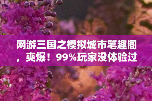 网游三国之模拟城市笔趣阁,爽爆!99%玩家没体验过的三国城建,我竟玩出逆天操作! 网游三国之模拟城市笔趣阁,爽爆!99%玩家没体验过的三国城建,我竟玩出逆天操作!