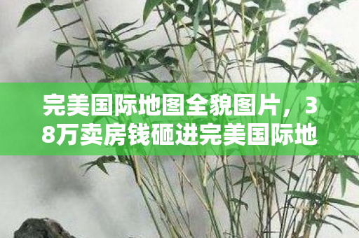 完美国际地图全貌图片，38万卖房钱砸进完美国际地图，老婆签离婚协议时我才吓一跳！