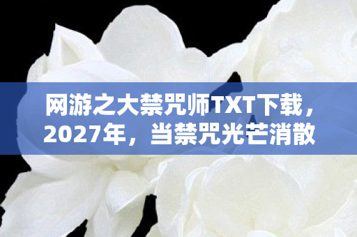 网游之大禁咒师TXT下载,2027年,当禁咒光芒消散,那些别走让我鼻子一酸 网游之大禁咒师TXT下载,2027年,当禁咒光芒消散,那些别走让我鼻子一酸