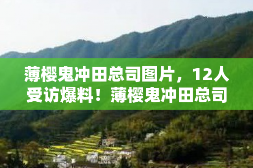 薄樱鬼冲田总司图片,12人受访爆料!薄樱鬼冲田总司竟藏惊天疑点?老炮网吧当场绷不住 薄樱鬼冲田总司图片,12人受访爆料!薄樱鬼冲田总司竟藏惊天疑点?老炮网吧当场绷不住