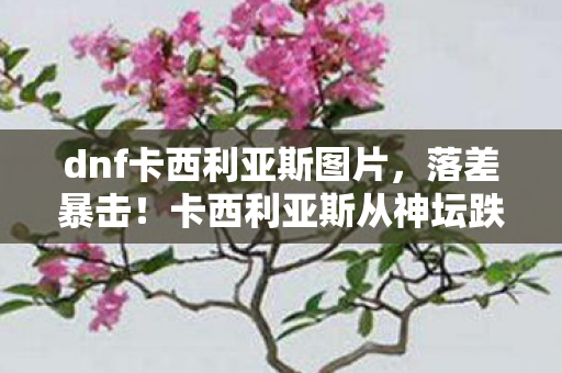 dnf卡西利亚斯图片,落差暴击!卡西利亚斯从神坛跌落?真相揭晓后笑着笑着就哭了 dnf卡西利亚斯图片,落差暴击!卡西利亚斯从神坛跌落?真相揭晓后笑着笑着就哭了