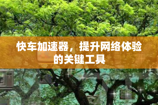 提升网络体验的关键工具图片