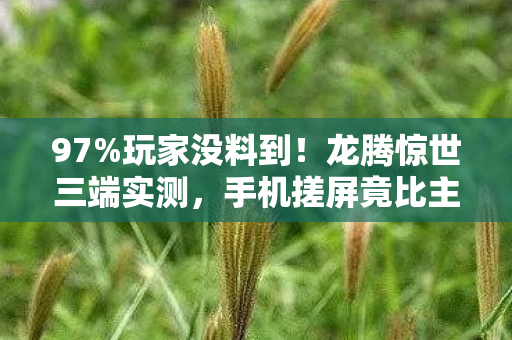 97%玩家没料到!龙腾惊世三端实测,手机搓屏竟比主机手柄更带感? 97%玩家没料到!龙腾惊世三端实测,手机搓屏竟比主机手柄更带感?