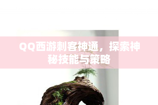 探索神秘技能与策略图片