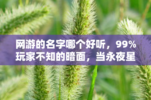 网游的名字哪个好听,99%玩家不知的暗面,当永夜星渊的星辰坠落成灰 网游的名字哪个好听,99%玩家不知的暗面,当永夜星渊的星辰坠落成灰