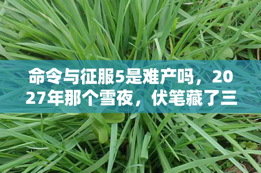 命令与征服5是难产吗,2027年那个雪夜,伏笔藏了三年,删号时我鼻子一酸 命令与征服5是难产吗,2027年那个雪夜,伏笔藏了三年,删号时我鼻子一酸