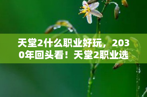 天堂2什么职业好玩,2030年回头看!天堂2职业选择竟藏着颠覆认知的终极真相? 天堂2什么职业好玩,2030年回头看!天堂2职业选择竟藏着颠覆认知的终极真相?