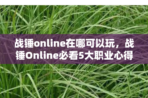 战锤online在哪可以玩,战锤Online必看5大职业心得+避坑指南,助你少走90%弯路! 战锤online在哪可以玩,战锤Online必看5大职业心得+避坑指南,助你少走90%弯路!