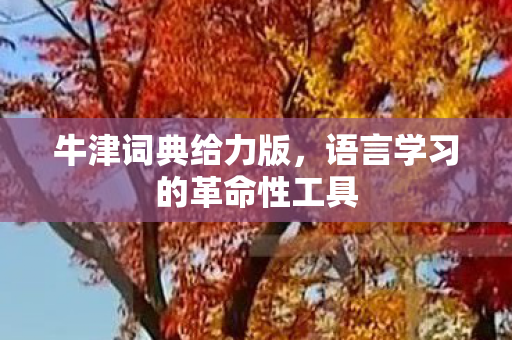 语言学习的革命性工具图片