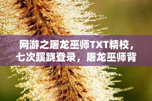 网游之屠龙巫师TXT精校,七次蹊跷登录,屠龙巫师背后竟藏着后背发凉的真相 网游之屠龙巫师TXT精校,七次蹊跷登录,屠龙巫师背后竟藏着后背发凉的真相