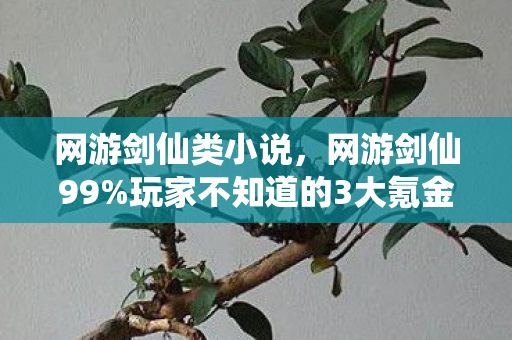 网游剑仙类小说,网游剑仙99%玩家不知道的3大氪金猫腻!这波操作让我连夜删号又真香 网游剑仙类小说,网游剑仙99%玩家不知道的3大氪金猫腻!这波操作让我连夜删号又真香
