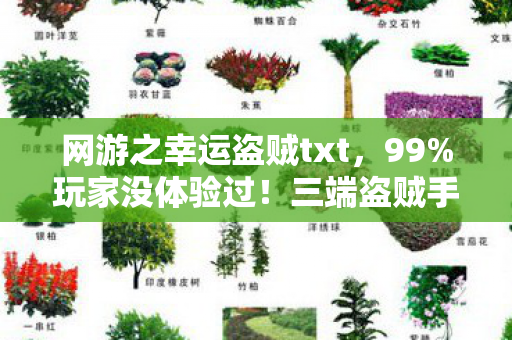 网游之幸运盗贼txt,99%玩家没体验过!三端盗贼手感大反转,你的设备是天堂还是地狱? 网游之幸运盗贼txt,99%玩家没体验过!三端盗贼手感大反转,你的设备是天堂还是地狱?